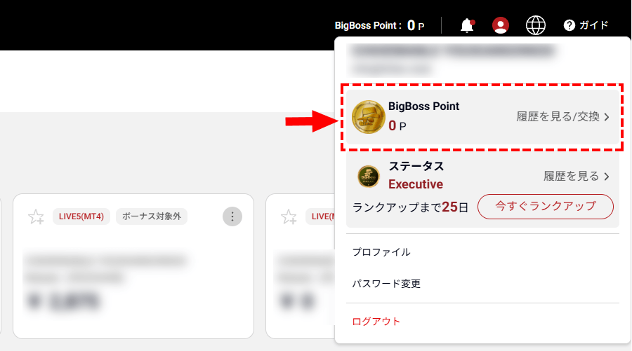 BigBoss_ボーナス_ボーナスの交換方法_パソコン画面