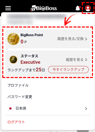 BigBoss_ステータスと貯まったポイントはBigBossマイページで確認可能です_スマホ画面