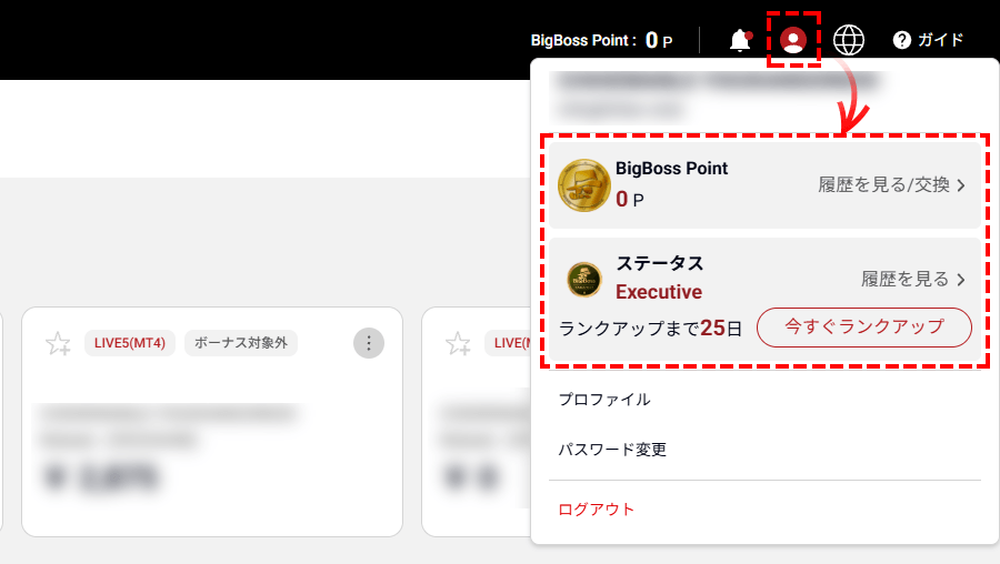 BigBossマイページで確認可能です_パソコン画面