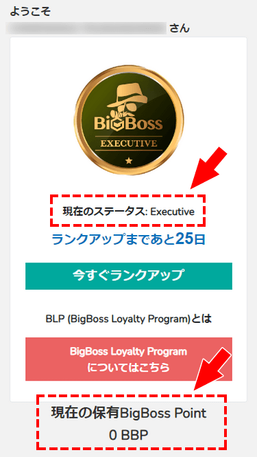 BigBoss_ステータスと貯まったポイントはBigBossマイページで確認可能です_スマホ画面