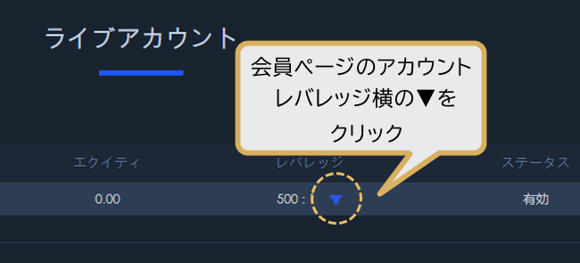 レバレッジ変更１