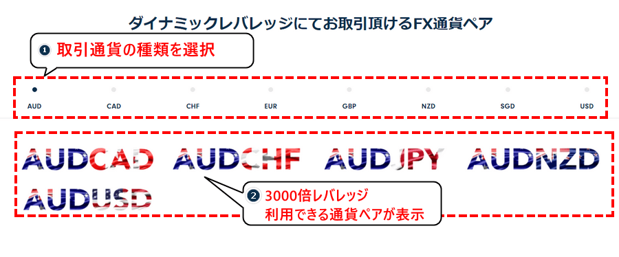 TTCM_ダイナミックレバレッジ_通貨ペアの種類_パソコン画面