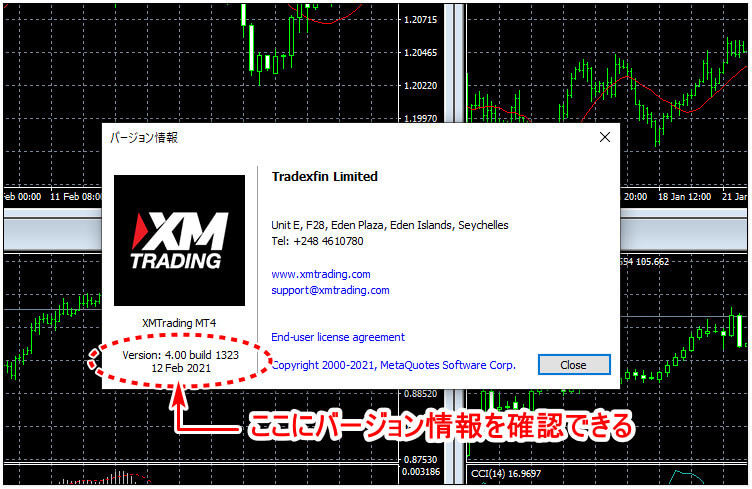 XM_デモ口座バージョン情報確認_pc2