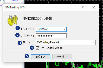 MT4＿口座情報を入力する＿パソコン画面