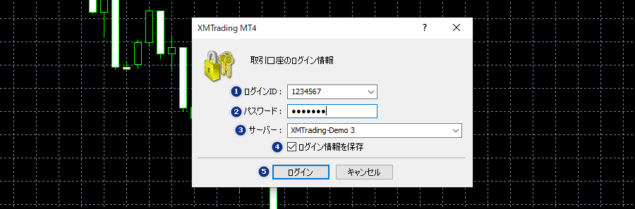 MT4_口座情報を入力する_パソコン画面