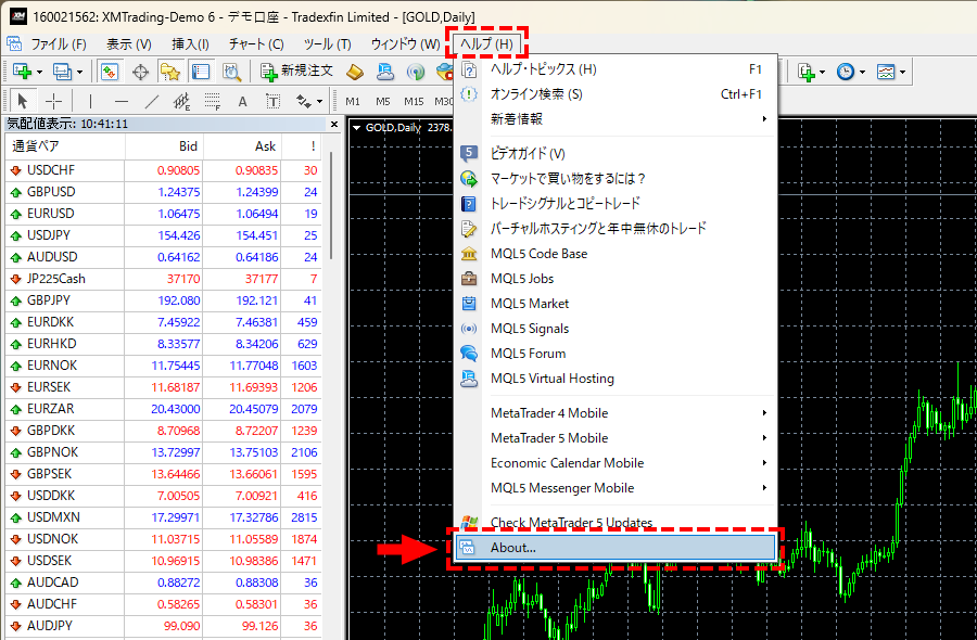 XM_デモ口座バージョン情報確認_pc1